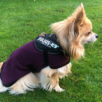 HOTTERdog© Fleece Water Repellent Dog Coat 10 Inch