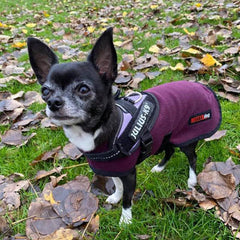 HOTTERdog© Fleece Water Repellent Dog Coat 10 Inch