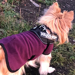 HOTTERdog© Fleece Water Repellent Dog Coat 12 Inch