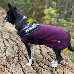 HOTTERdog© Fleece Water Repellent Dog Coat 12 Inch