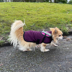 HOTTERdog© Fleece Water Repellent Dog Coat 12 Inch