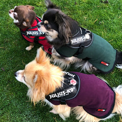 HOTTERdog© Fleece Water Repellent Dog Coat 12 Inch