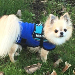 HOTTERdog© Fleece Water Repellent Dog Coat 12 Inch