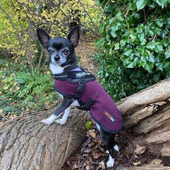 HOTTERdog© Fleece Water Repellent Dog Coat 10 Inch