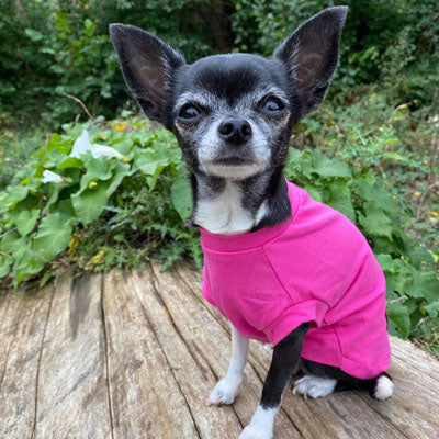 Equafleece® 14 T-Shirt Body HOTTERdog Chihuahua or Small Dog Tankie Vest Top Size Small