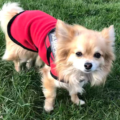 HOTTERdog Fleece Water Repellent Dog Coat 10 Inch