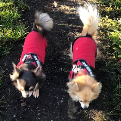HOTTERdog Fleece Water Repellent Dog Coat 10 Inch