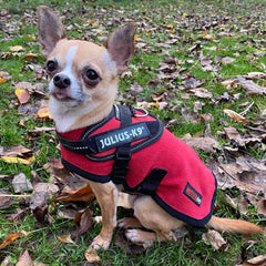 HOTTERdog© Fleece Water Repellent Dog Coat 12 Inch