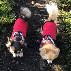 HOTTERdog© Fleece Water Repellent Dog Coat 12 Inch