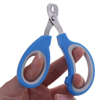 Small Scissor Style Nail Clippers Chihuahua Small Dogs Blue With Large Finger Holes - My Chi and Me
