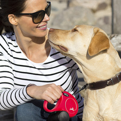 Flexi New Classic Small 5 Metre Cord Dog Lead