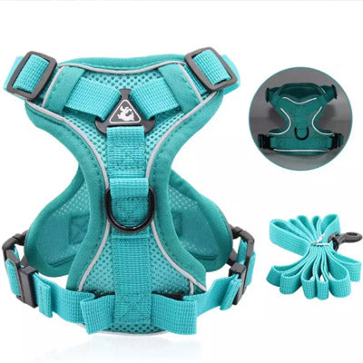 Tough 4 Point Adjustable Slipover Treks & Trails Action Harness Lead Set Aquamarine