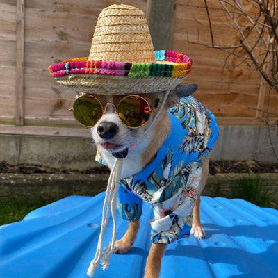 Blue Palms Hibiscus Print Hawaiian Shirt for Puppies Chihuahuas or Small Dogs