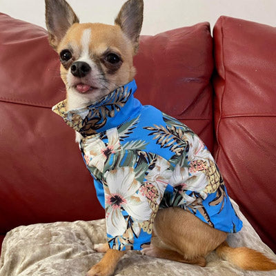 Blue Palms Hibiscus Print Hawaiian Shirt for Puppies Chihuahuas or Small Dogs