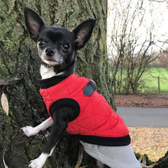 Water Resistant Padded Quilted Red Dog Gilet Chihuahua Clothes and Accessories at My Chi and Me