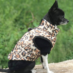 Small Dog Chihuahua Soft Black Cable Knit Puppy Jumper 5 SIZES Chihuahua Clothes and Accessories at My Chi and Me
