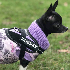 Julius K9 IDC Powerharness for Puppies and Chihuahuas Purple - My Chi and Me