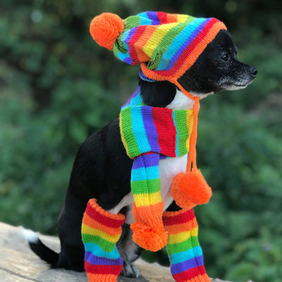 Chihuahua Hat Scarf and Leg Warmer Set Rainbow Stripes Chihuahua Clothes and Accessories at My Chi and Me