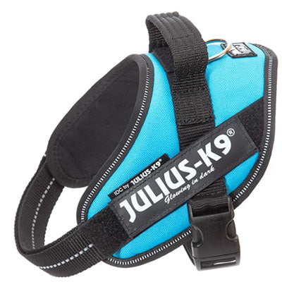 Julius K9 IDC Powerharness for Puppies and Chihuahuas Aquamarine