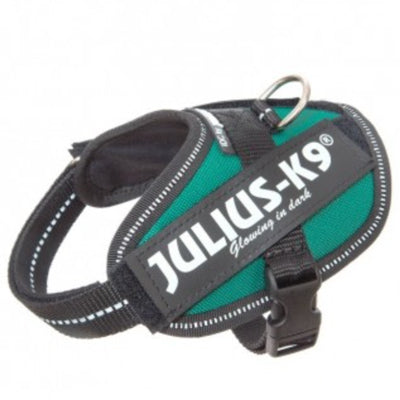 Julius K9 IDC Powerharness for Puppies and Chihuahuas Dark Green Teal