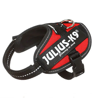 Julius K9 IDC Powerharness for Puppies and Chihuahuas Red