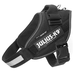 Julius K9 IDC Powerharness for Puppies and Chihuahuas Black