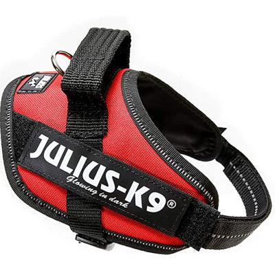 Julius K9 IDC Powerharness for Puppies and Chihuahuas Red
