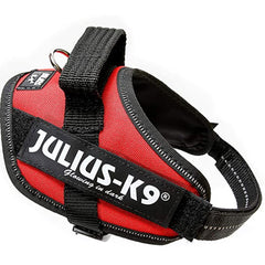 Julius K9 IDC Powerharness for Puppies and Chihuahuas Red