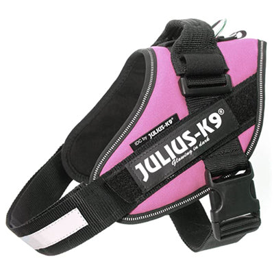 Julius K9 IDC Powerharness for Puppies and Chihuahuas Pink - My Chi and Me
