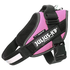 Julius K9 IDC Powerharness for Puppies and Chihuahuas Pink - My Chi and Me