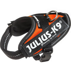 Julius K9 IDC Powerharness for Puppies and Chihuahuas UV Orange