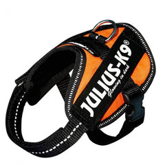 Julius K9 IDC Powerharness for Puppies and Chihuahuas UV Orange