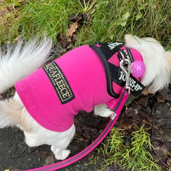 Julius K9 IDC Powerharness for Puppies and Chihuahuas Dark Pink - My Chi and Me