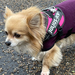 HOTTERdog© Fleece Water Repellent Dog Coat 12 Inch