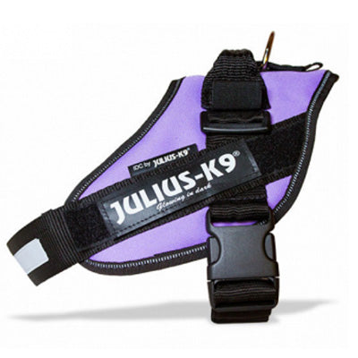 Julius K9 IDC Powerharness for Puppies and Chihuahuas Purple - My Chi and Me
