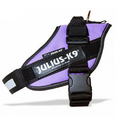 Julius K9 IDC Powerharness for Puppies and Chihuahuas Purple - My Chi and Me