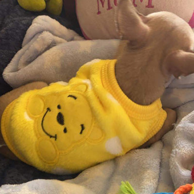 Chihuahua Puppy Fluffy Yellow Vest with Winnie the Pooh 5 Sizes