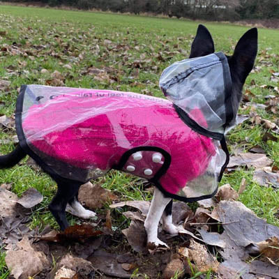 Small Dog Soft Cable Jumper Fuchsia Pink 6 Sizes