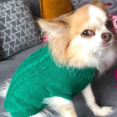 Small Dog Soft Cable Jumper Green 5 Sizes