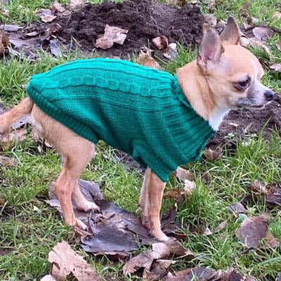 Small Dog Soft Cable Jumper Green 5 Sizes