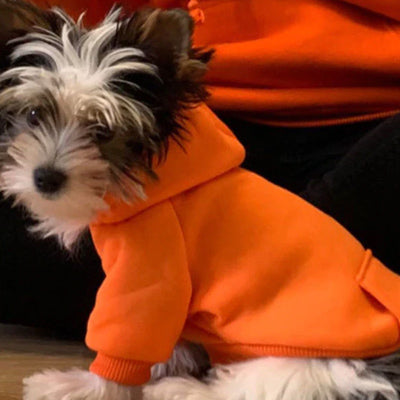 Chihuahua or Small Dog Hoodie Style Hooded Sweatshirt in 6 Popular Colours