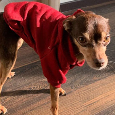 Chihuahua or Small Dog Hoodie Style Hooded Sweatshirt in 6 Popular Colours