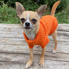 Small Dog Chihuahua Soft Orange Cable Knit Puppy Jumper 5 SIZES