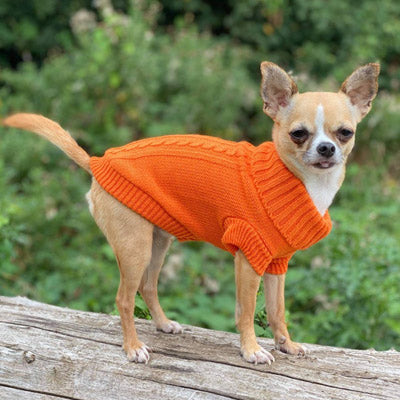 Small Dog Chihuahua Soft Orange Cable Knit Puppy Jumper 5 SIZES