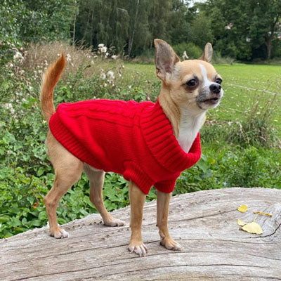 Small Dog Chihuahua Soft Red Cable Knit Puppy Jumper 5 SIZES