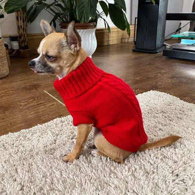 Small Dog Chihuahua Soft Red Cable Knit Puppy Jumper 5 SIZES