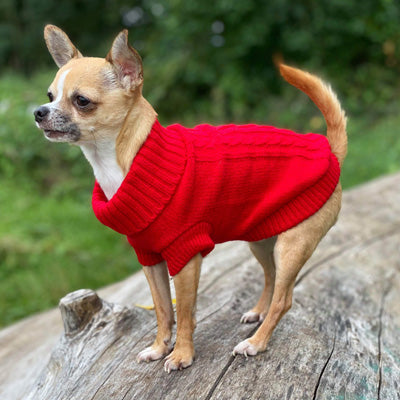 Small Dog Chihuahua Soft Red Cable Knit Puppy Jumper 5 SIZES