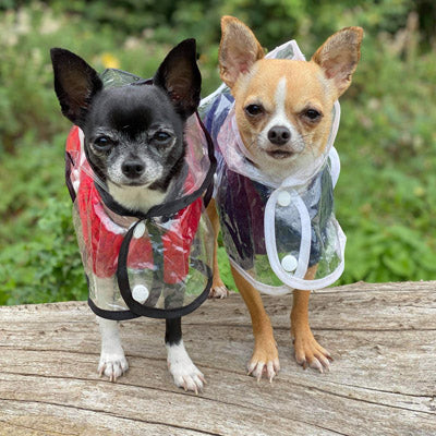 Small Dog Chihuahua Soft Red Cable Knit Puppy Jumper 5 SIZES
