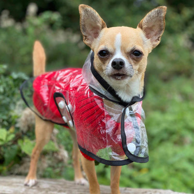Small Dog Chihuahua Soft Red Cable Knit Puppy Jumper 5 SIZES