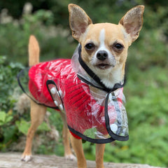 Small Dog Chihuahua Soft Red Cable Knit Puppy Jumper 5 SIZES